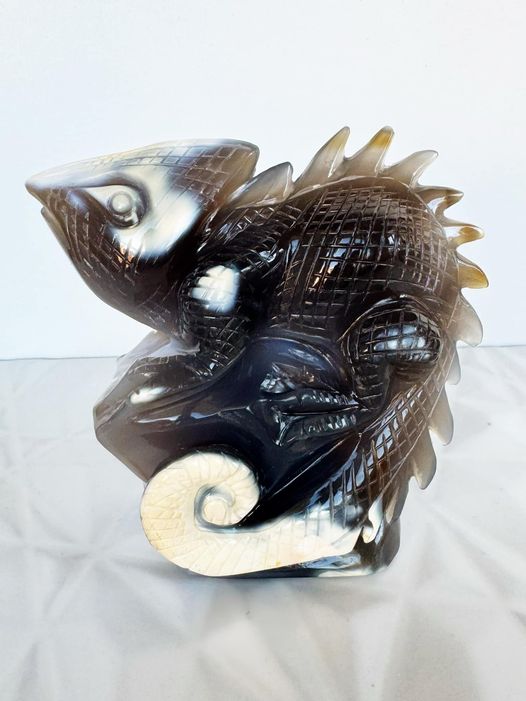 Orca Agate Chameleon