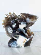Orca Agate Chameleon