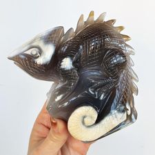 Orca Agate Chameleon