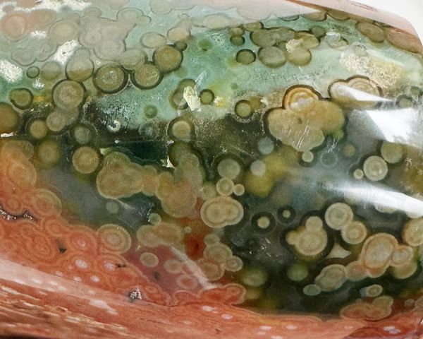 Veinless Ocean Jasper Free Form