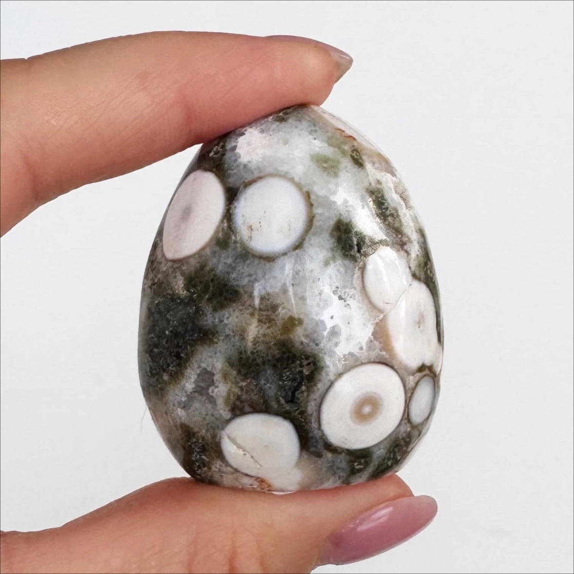 Ocean Jasper Free Form