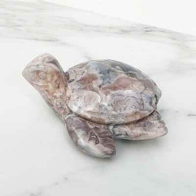 Flower Agate Turtle