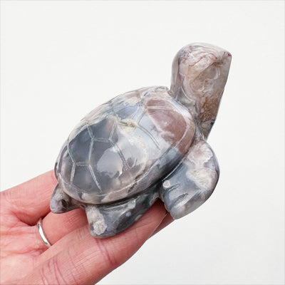 Flower Agate Turtle
