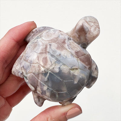Flower Agate Turtle