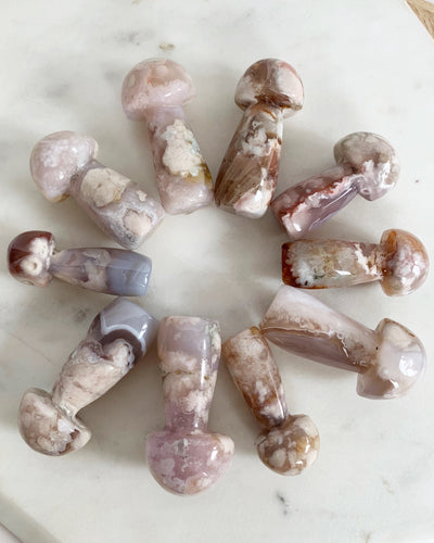 Flower Agate Mushrooms