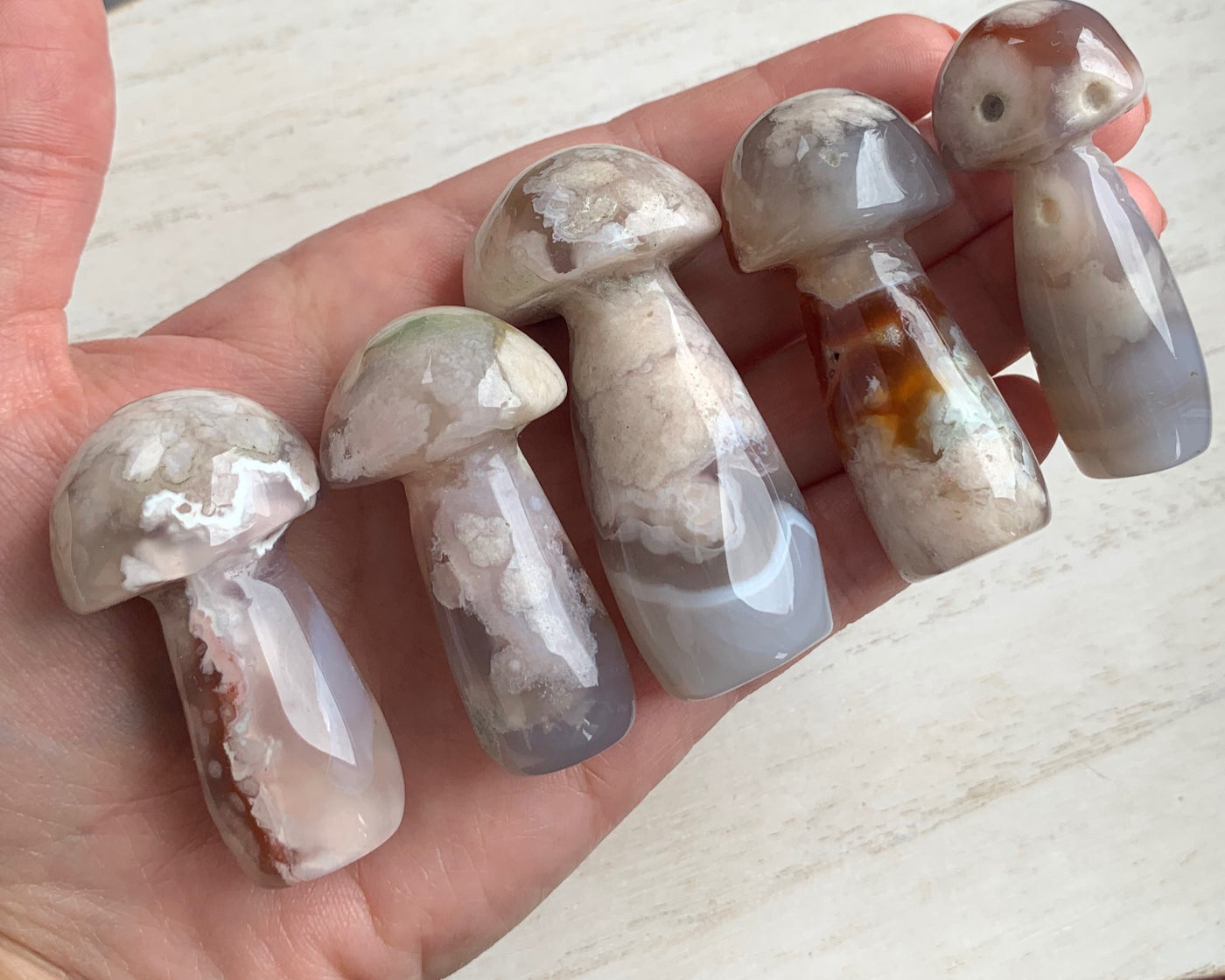 Flower Agate Mushrooms