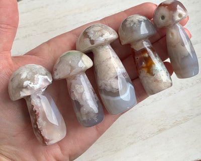 Flower Agate Mushrooms
