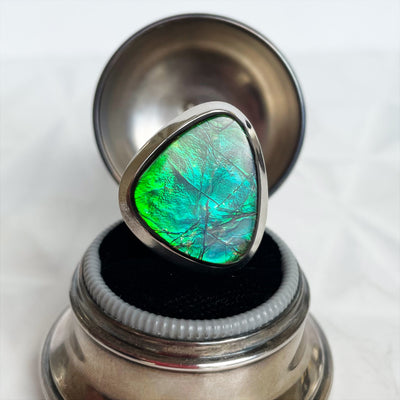 Adjustable Blue/Green Ammolite Ring