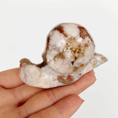 Flower Agate Snail with Red and Green