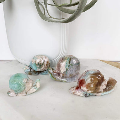 Flower Agate Snail with Red and Green